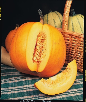 Picture of Pumpkin Jack O' Lantern (Trailing)